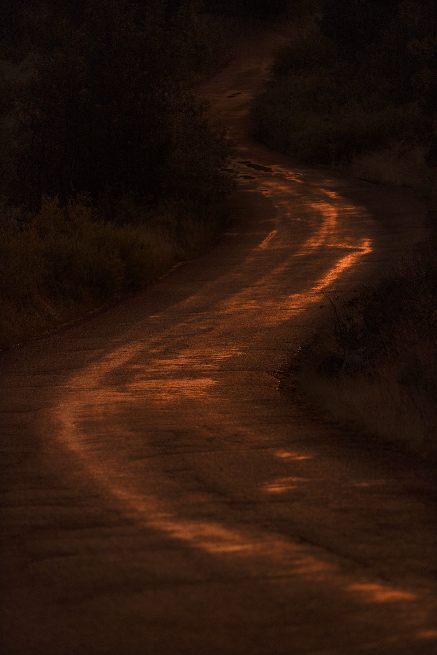 The road in the canyon