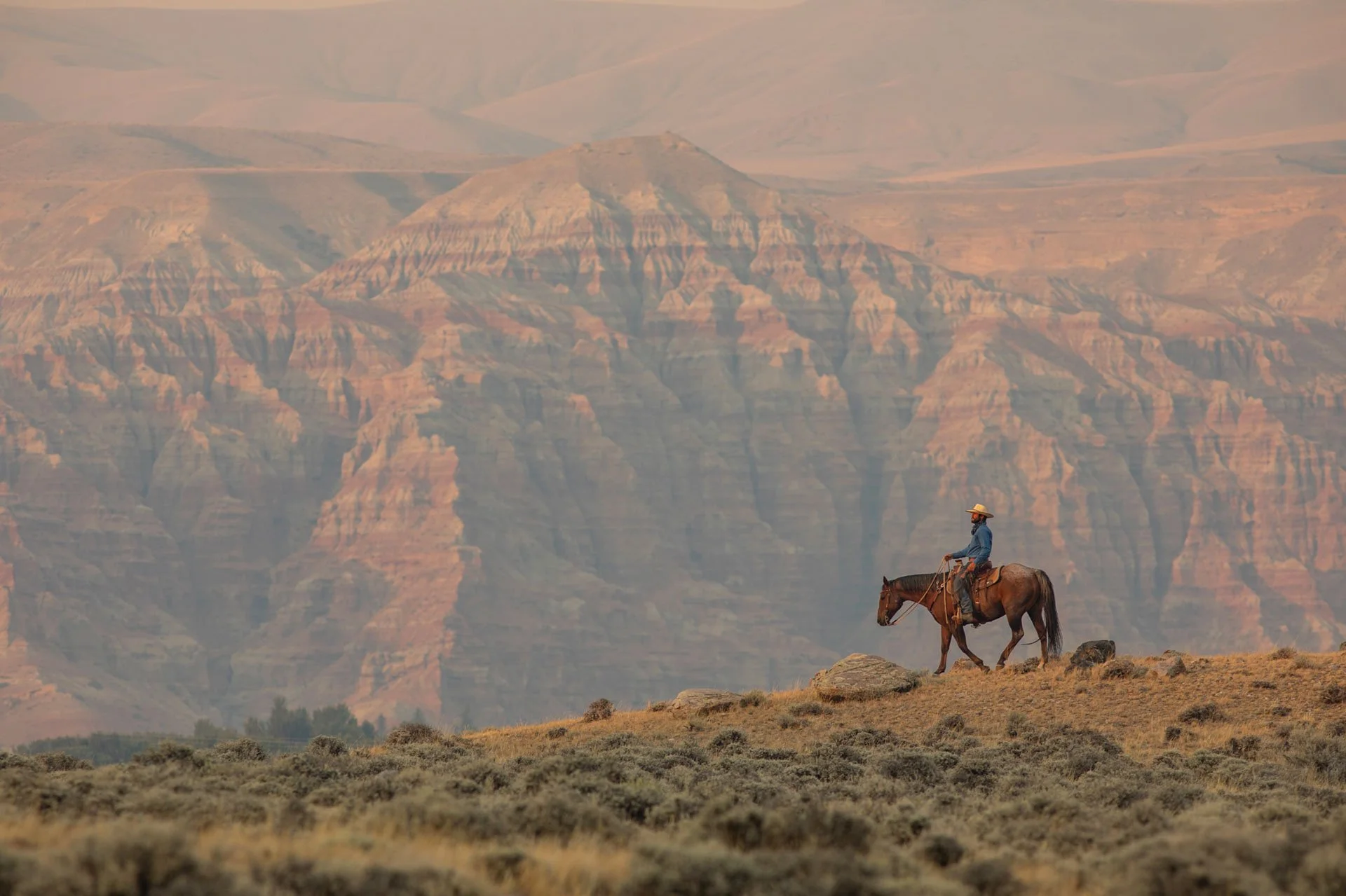The Roan and the Badlands