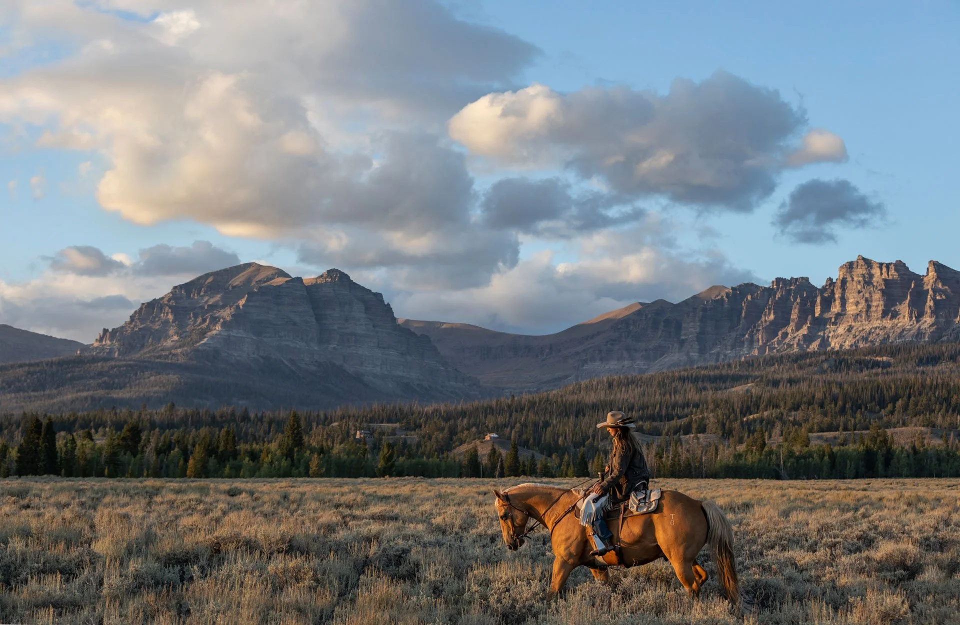 absaroka-range.jpg