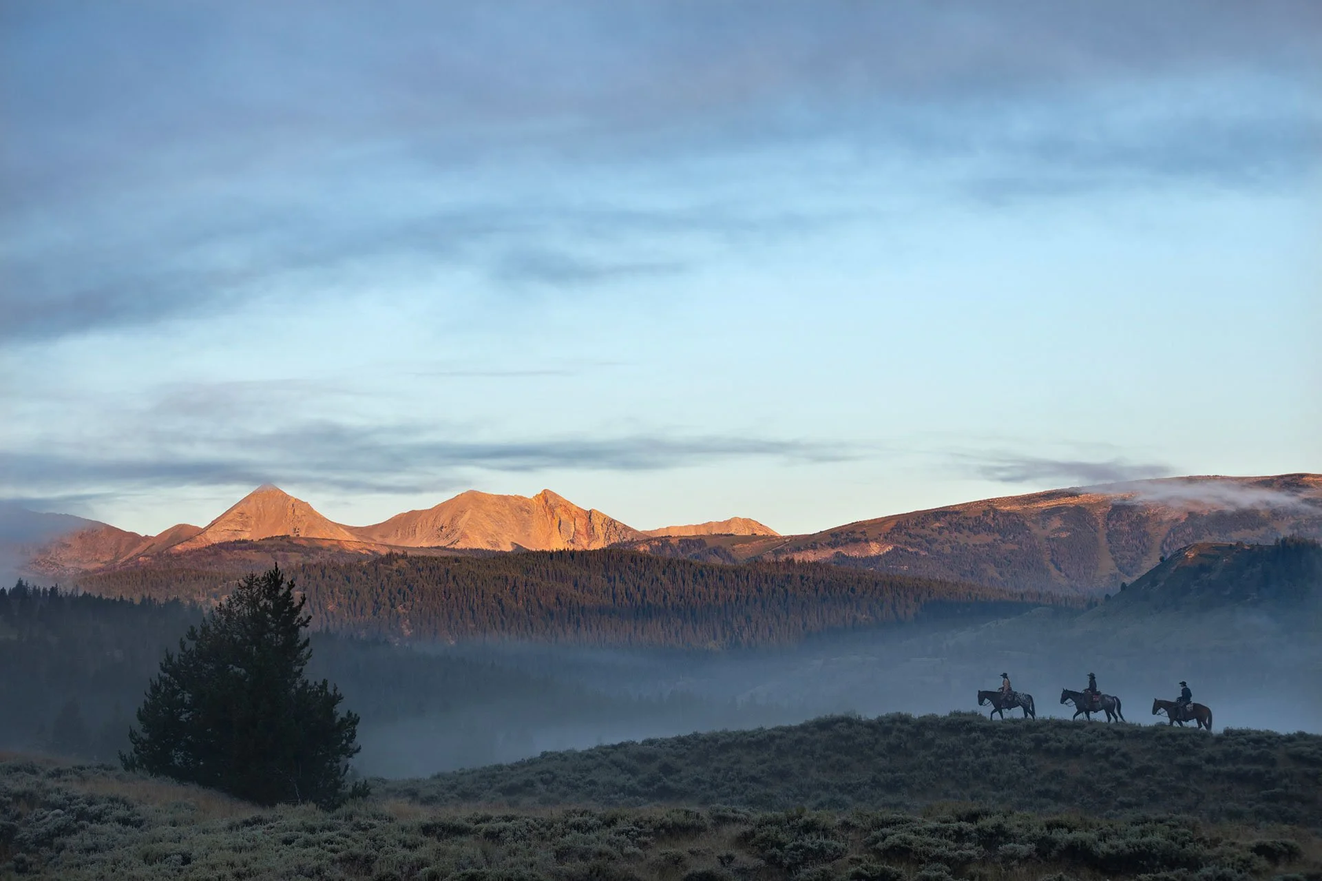 early-morning-fog.jpg