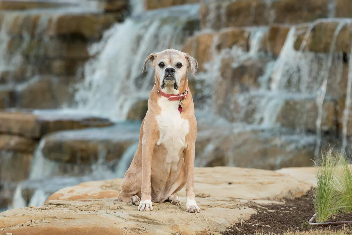 Amber at the River Walk-3.jpg