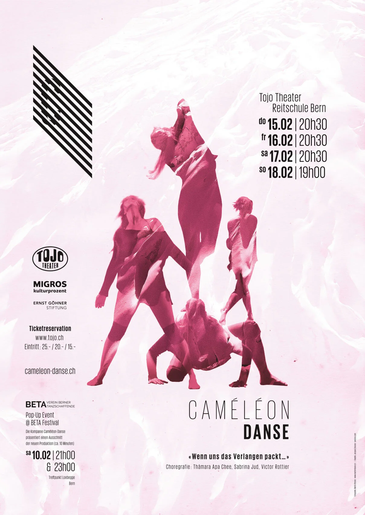 Cameleon-NO2_A2.jpg