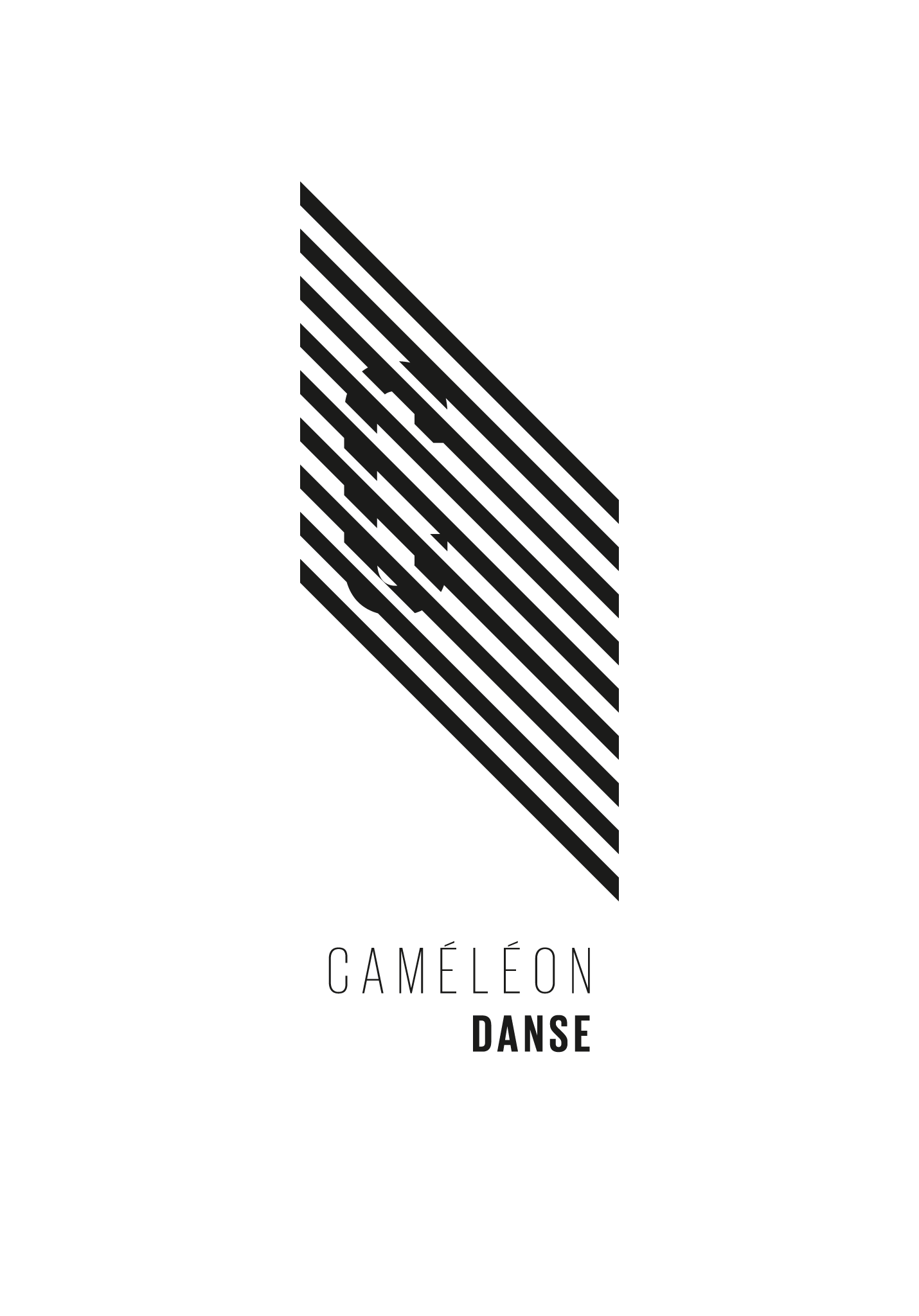 Cameleon-logo-01.png