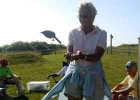 Bird Banding