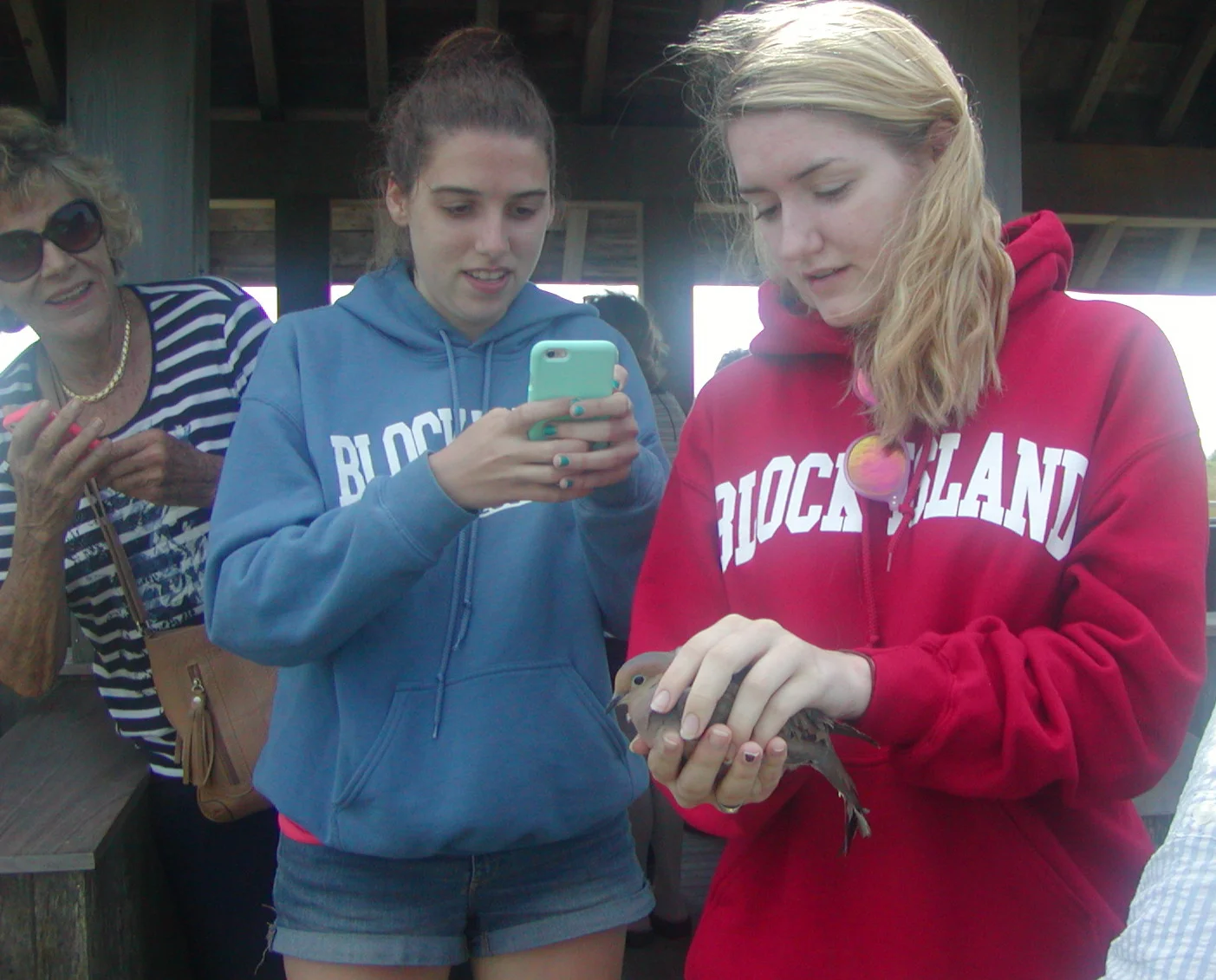  Bird banding participants - some return year after year - with a Mourning dove, 6/23/15. 