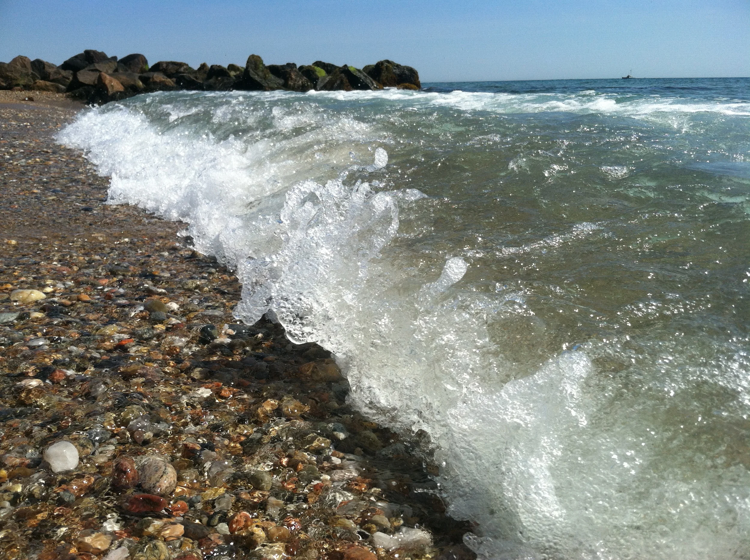 Live Like A Hummingbird