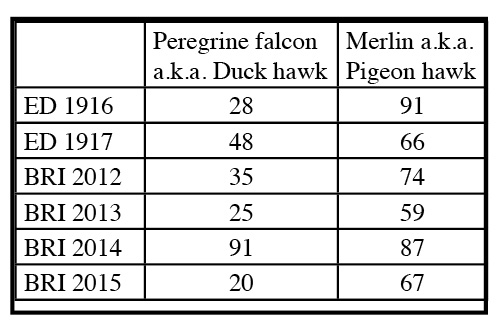  These numbers represent raw data only. Elizabeth Dickens (ED) numbers are the sum of these species recorded in her journals in 1916 and 1917 for the months of September and October. The Biodiversity Research Institute (BRI) numbers represent the number of these species banded in 2012-15 during September and October. BRI numbers do not include individuals of the species that may have been seen, but not banded.