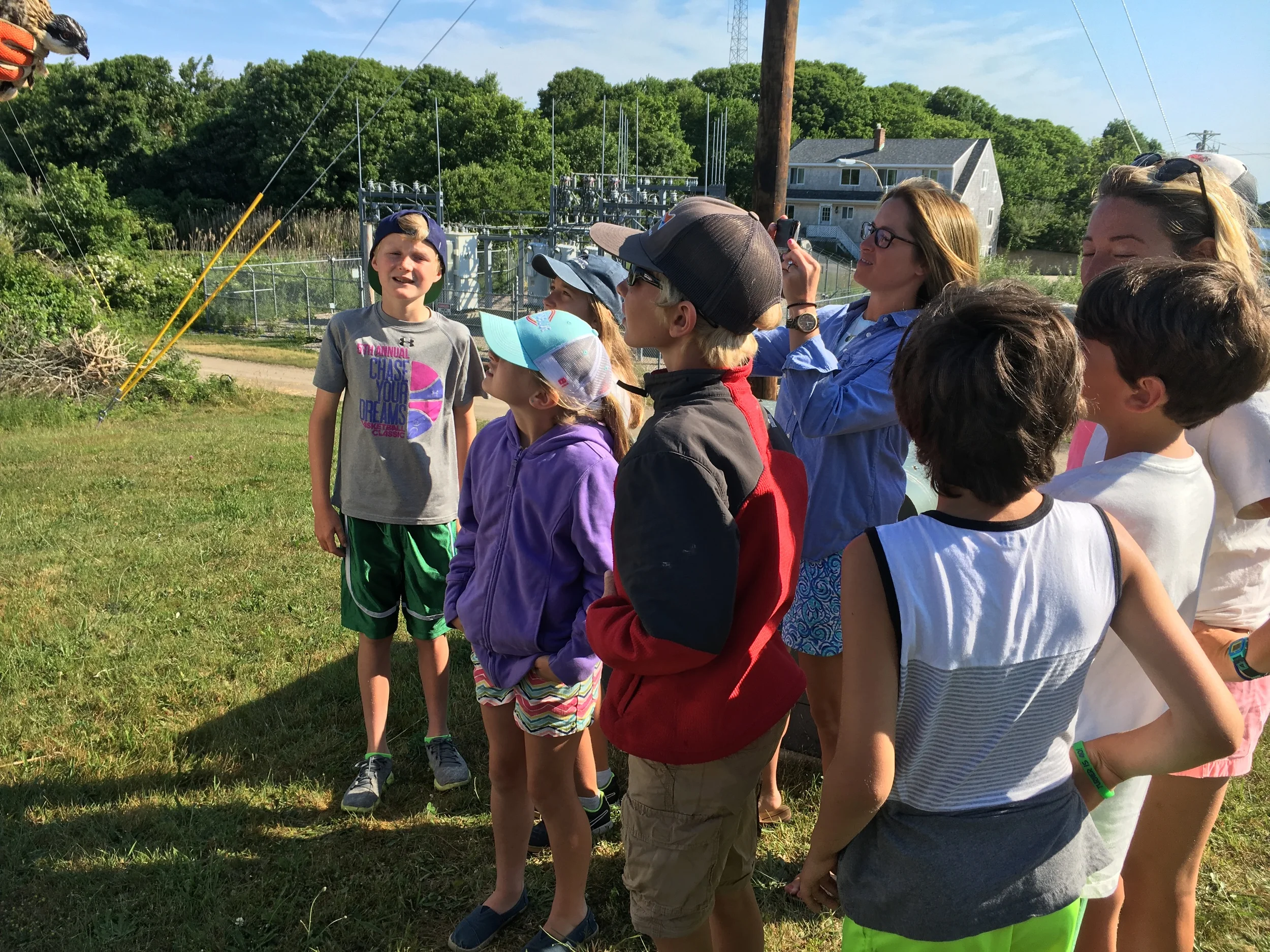  Osprey chick meets BI School Grade 4, June 20, 2016. 
