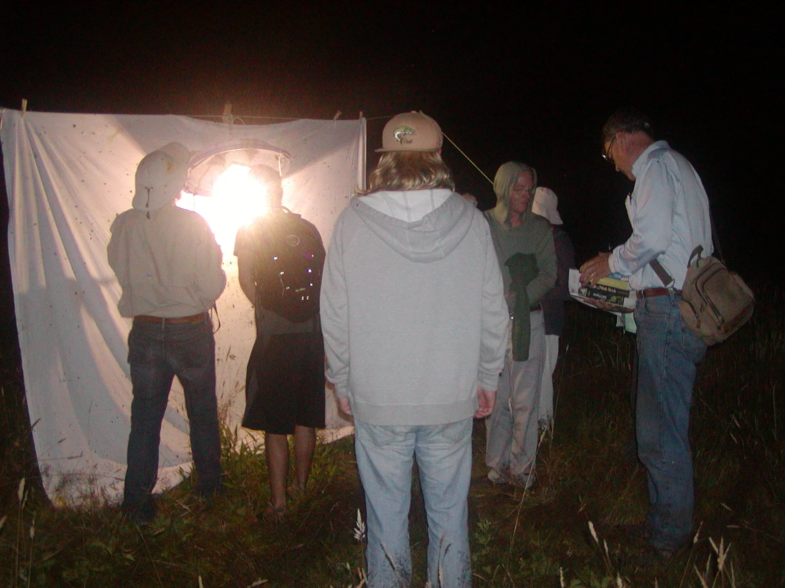  A night of moths with OVF &amp; RINHS, July 7, 2016 