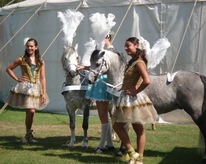 Giffords Circus press pic.jpg