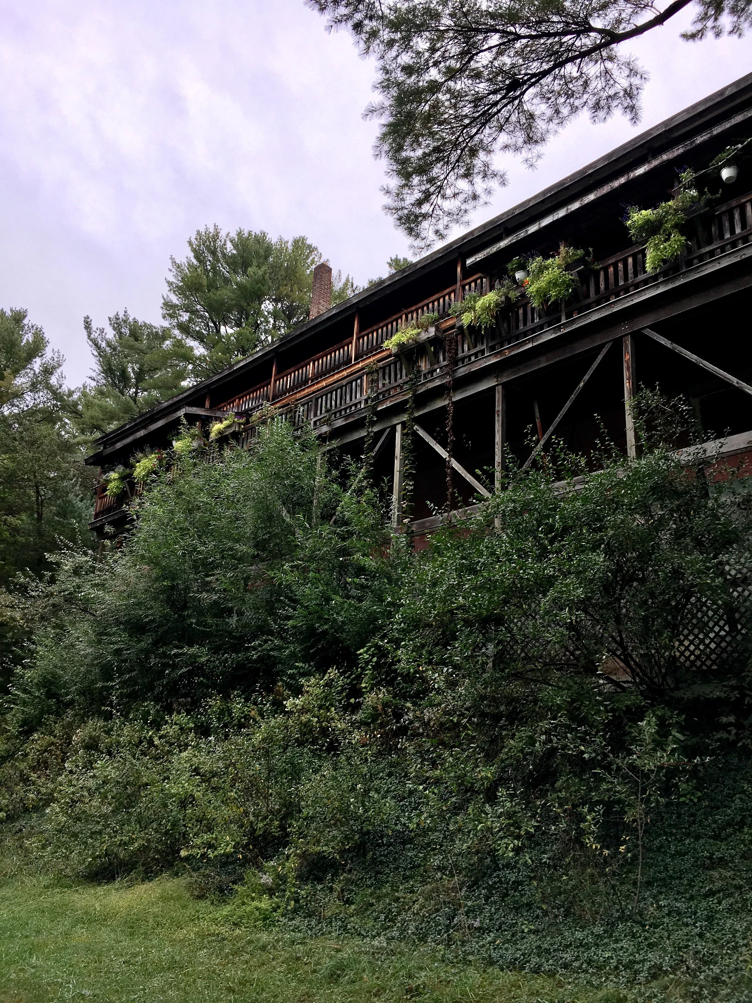 On a nature walk on free time between sessions.