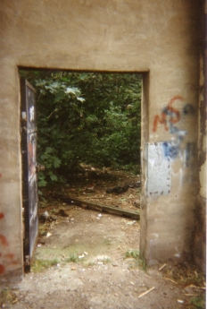   The overgrowth of trees and Japanese knotweed was so dense that it was almost impossible to access any graves, as Tonie rather comically found out  