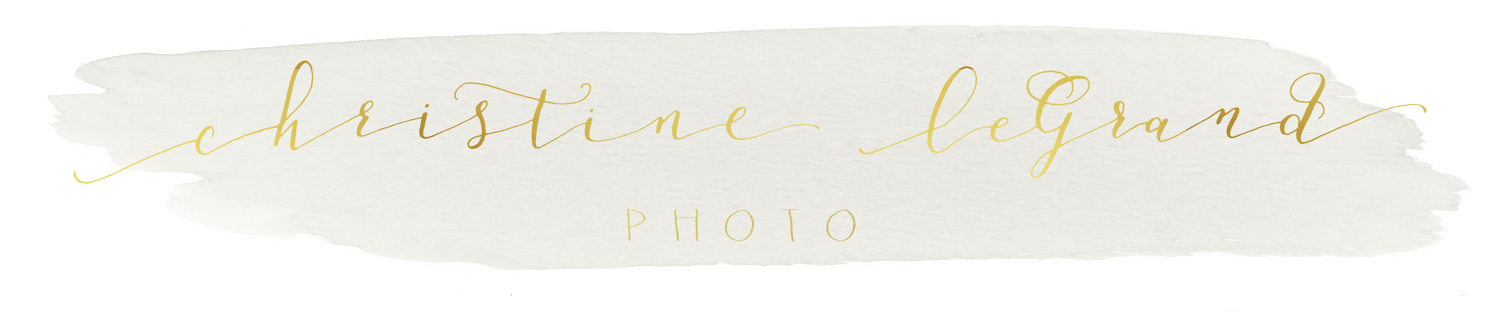 logos branding ollie b paper design logos branding ollie b paper design