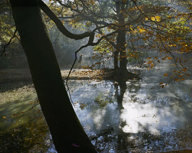 Hampstead Heath, London, UK