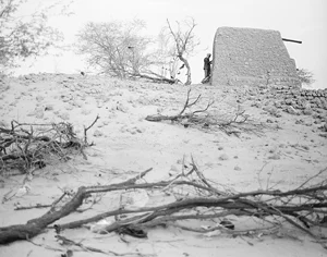 The Ziyarat , or devotions at the tombs of the ancestors and the 333 saints of Timbuktu, is a tradition influenced by Sufism. Many of the holy shrines to the city’s saints, like the one in this photograph, are UNESCO world heritage sites. In 2012, the militant Islamist groups that took over the city destroyed these shrines, calling the practice of the Ziyarat un-Islamic.