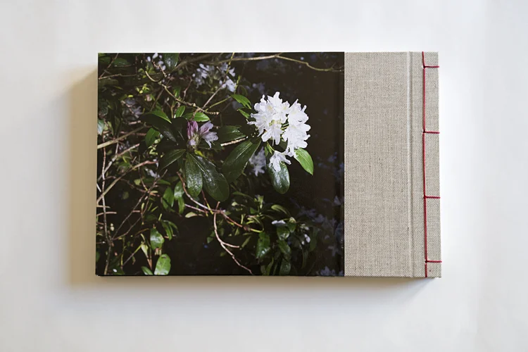 handmadeportfolio2.jpg