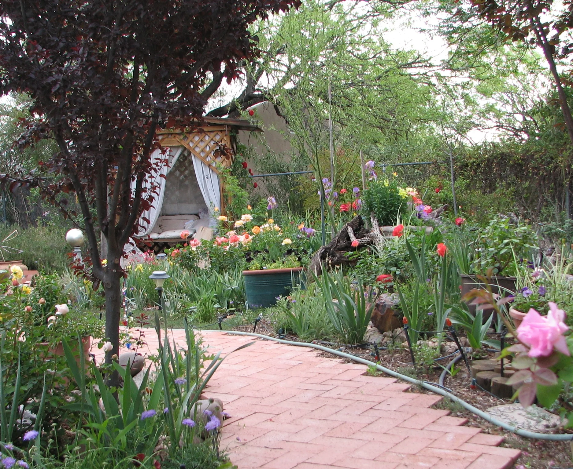  Wendy's yard. 