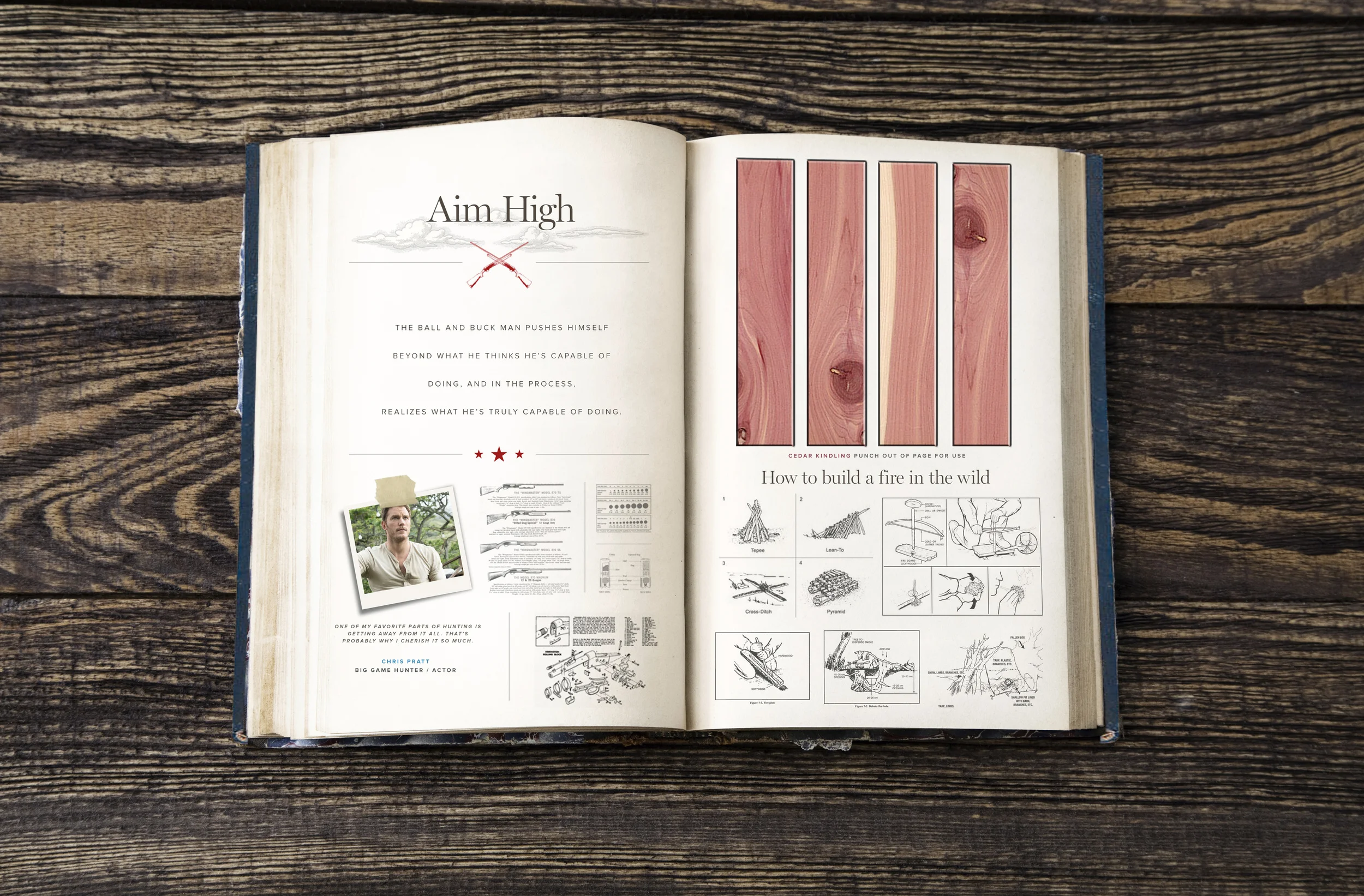 Book_Aim-High.jpg