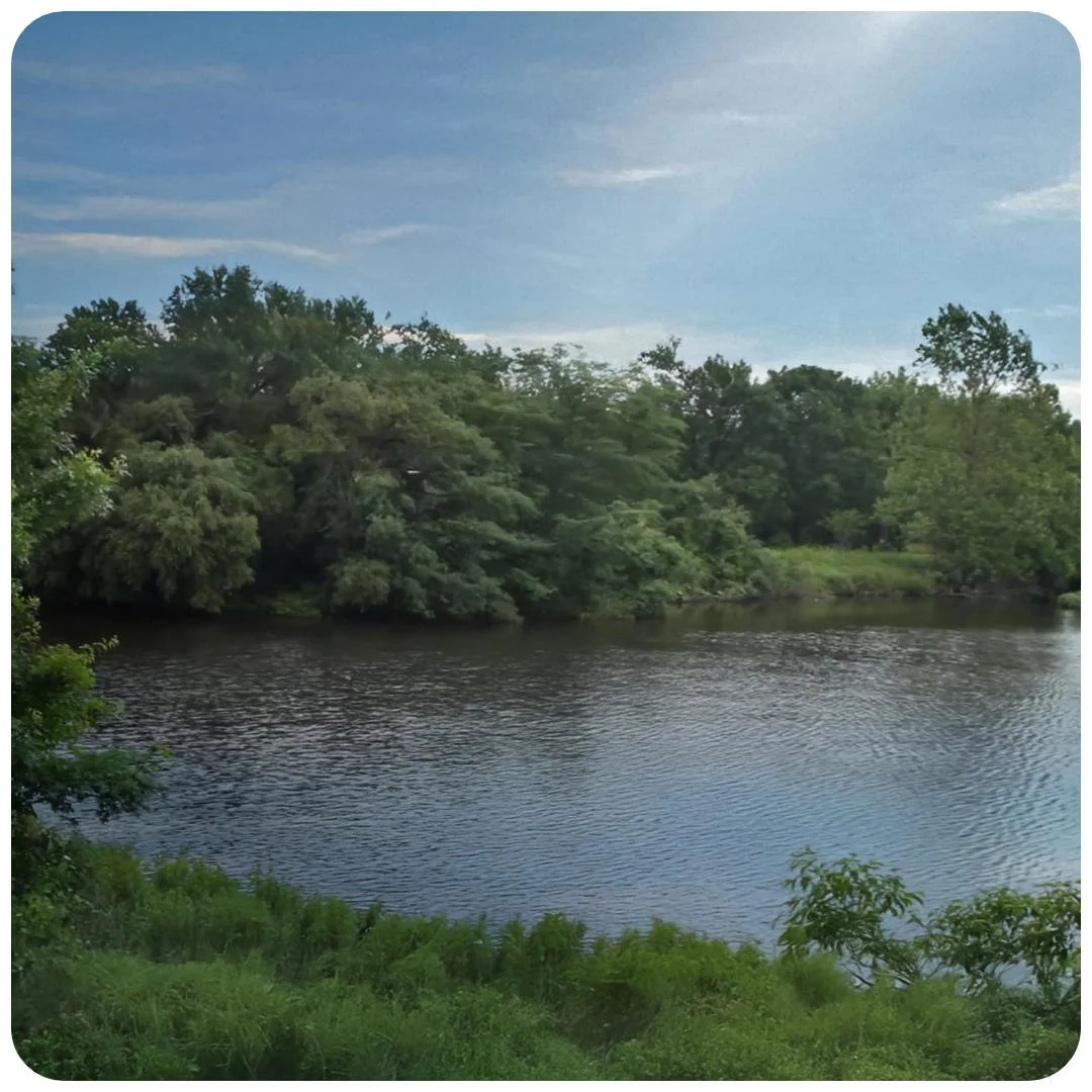 live-at-lord-stirling-park-03.jpg (Copy)