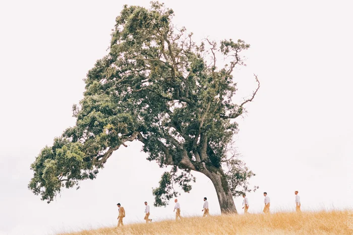 Earthrise_Ions_Wedding_Petaluma-11.jpg