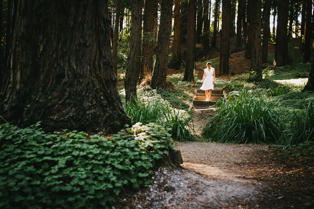 UC-Botanical-Garden-Mather-Redwood-Grove-Wedding-17.JPG
