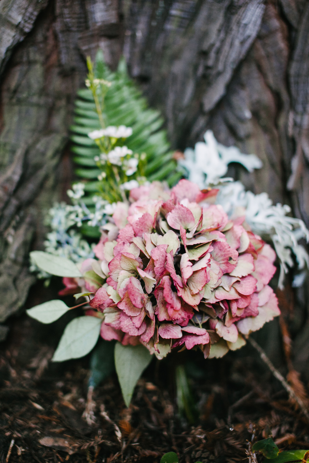 UC-Botanical-Garden-Mather-Redwood-Grove-Wedding-Details-11.JPG
