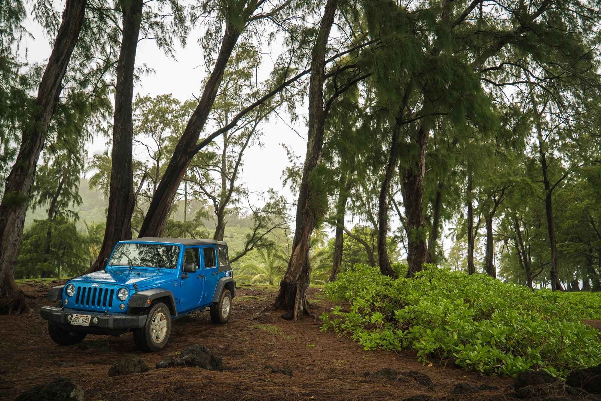 2015 Wrangler in Hawaii