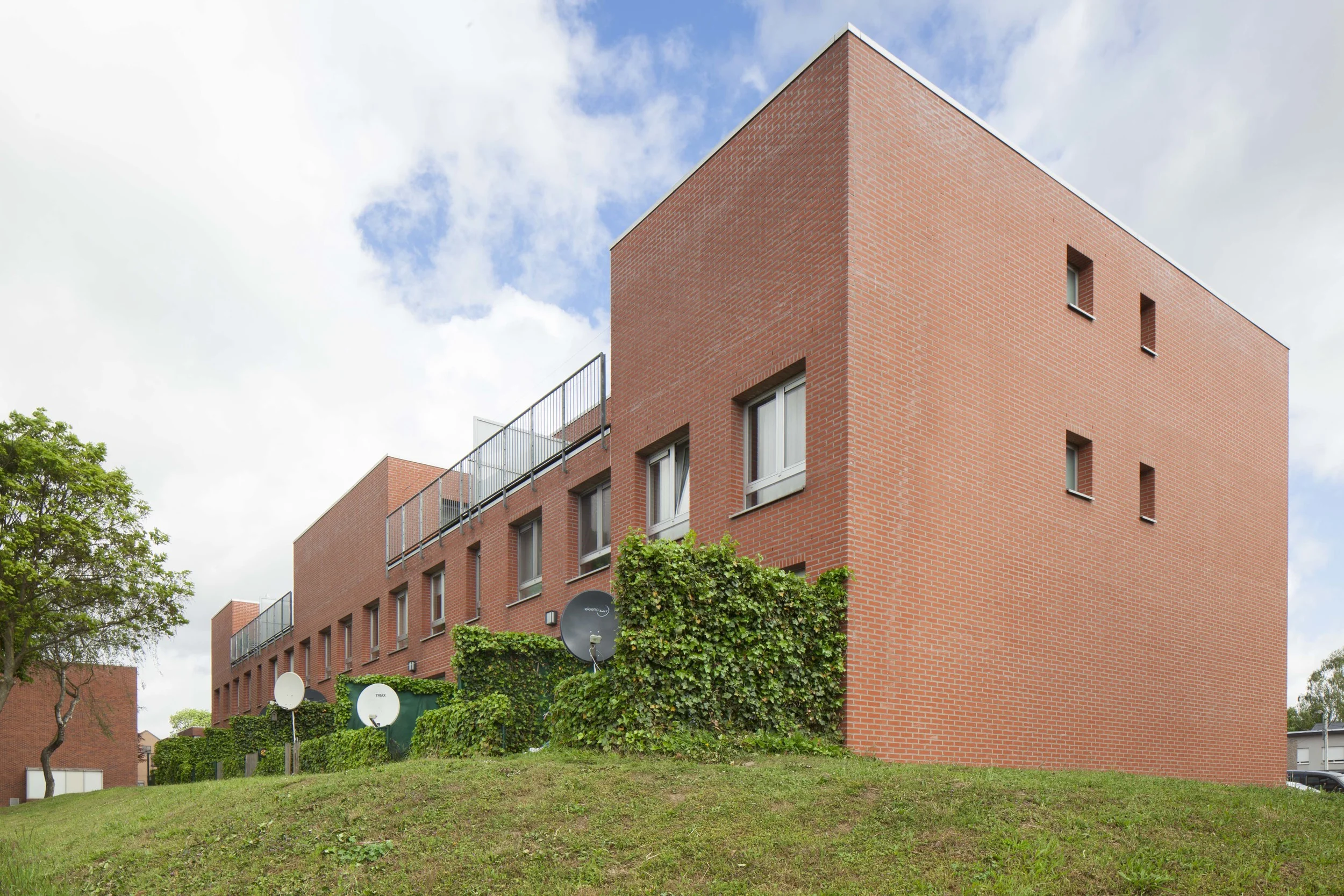 Muizen - Willemen nv