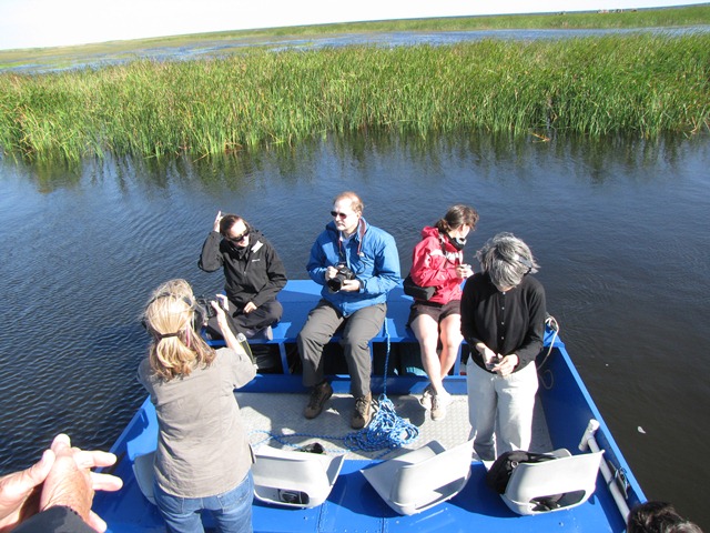 (Photo credit: http://audubonoffloridanews.org/?p=9955)