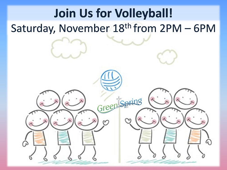 11.18.17Volleyball.jpg