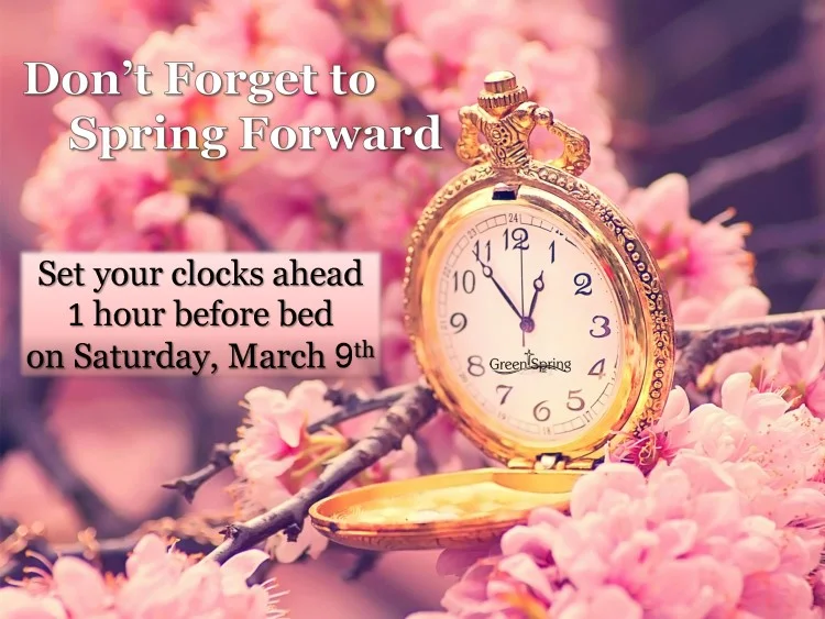 03.09.19Springahead.jpg
