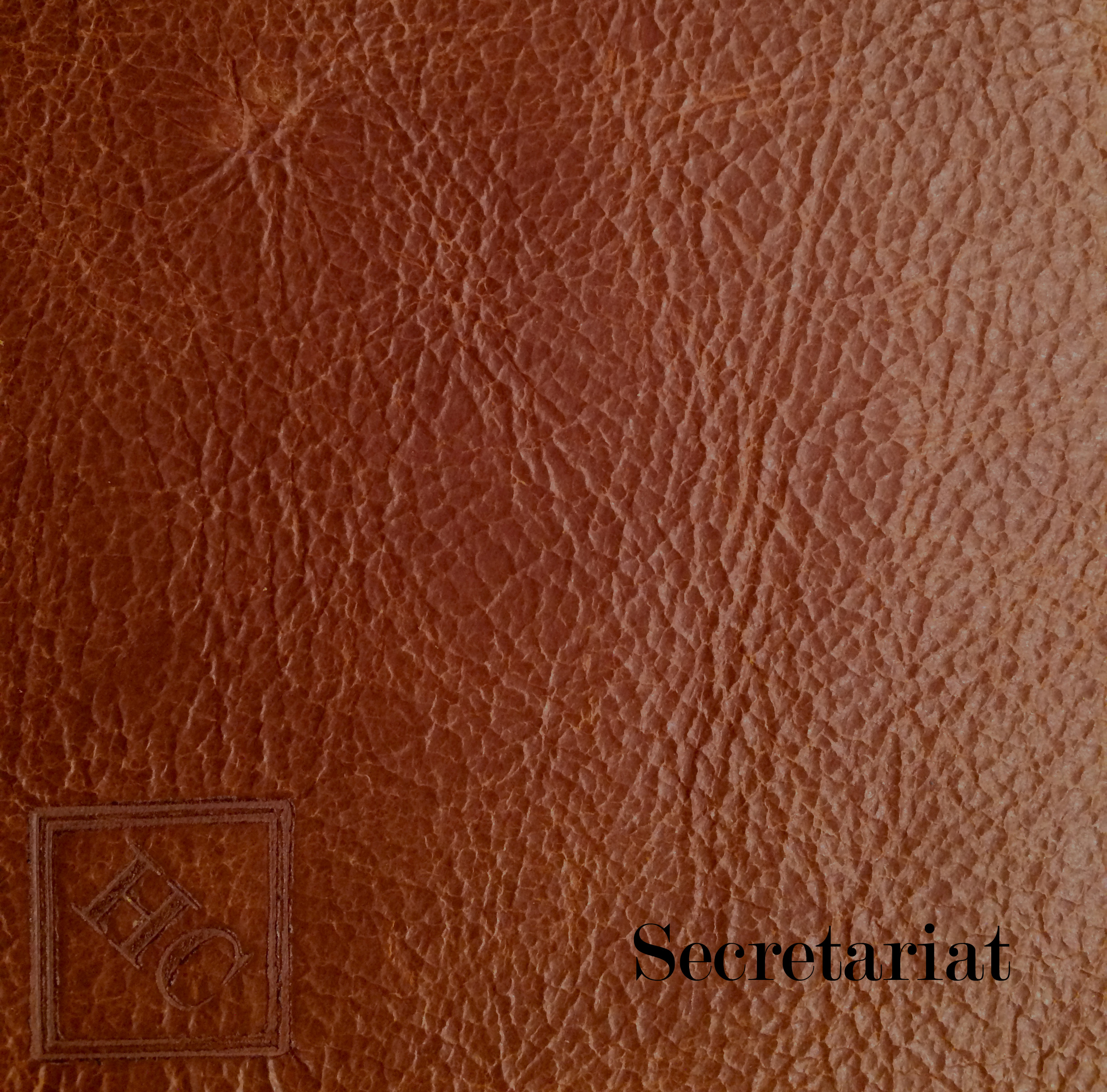 Pattern-Saddle-Secretariat-327-WEB.jpg
