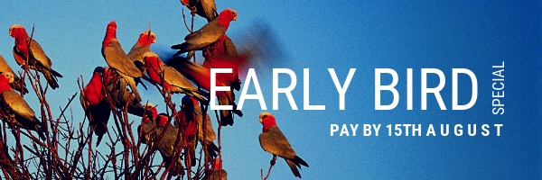 PI - EARLY BIRD Email Banner.jpg
