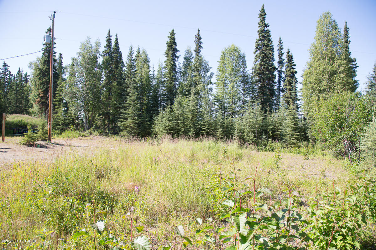 Soldotna 1.jpg