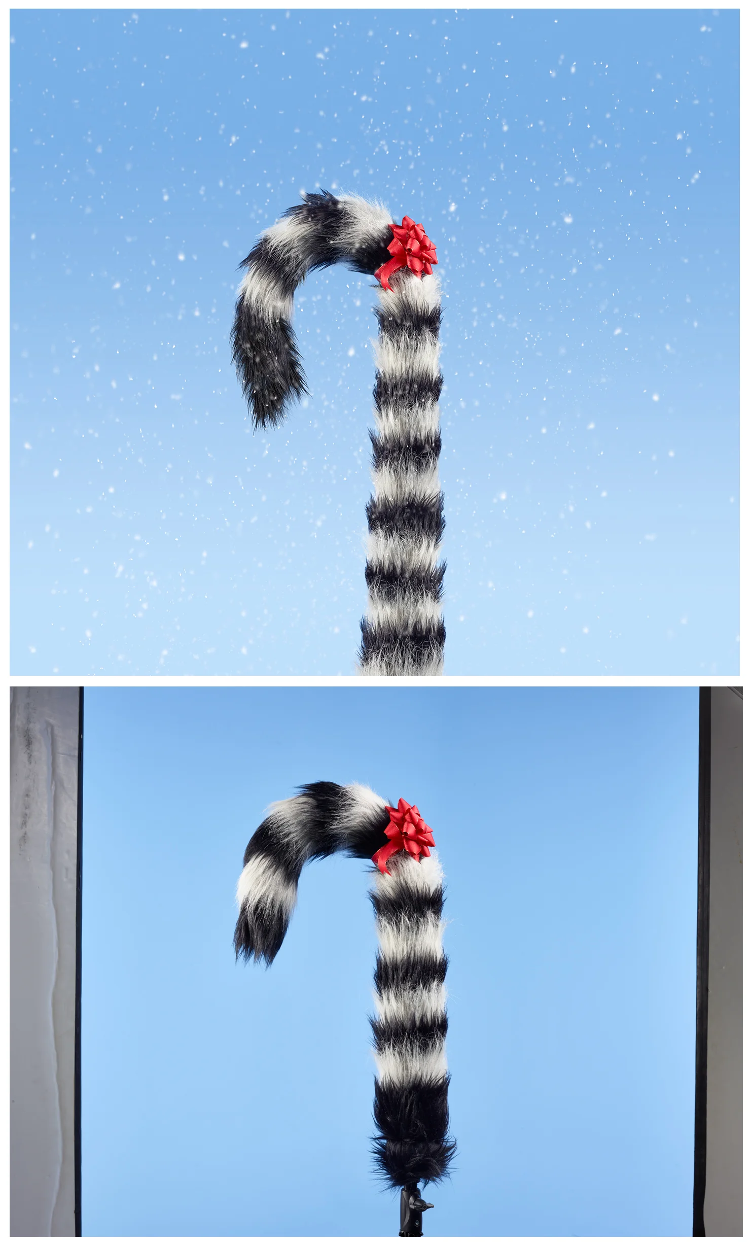 Calgary Zoo - Lemur Tail
