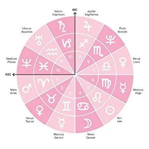 ab116ee6-609d-46d7-a58c-3fe947ce1515.__CR0,0,1000,1000_PT0_SX300_V1___.jpg