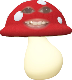 mushroom with Jessica's face