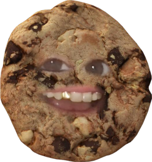 chocolate chip cookie with Jessica's face