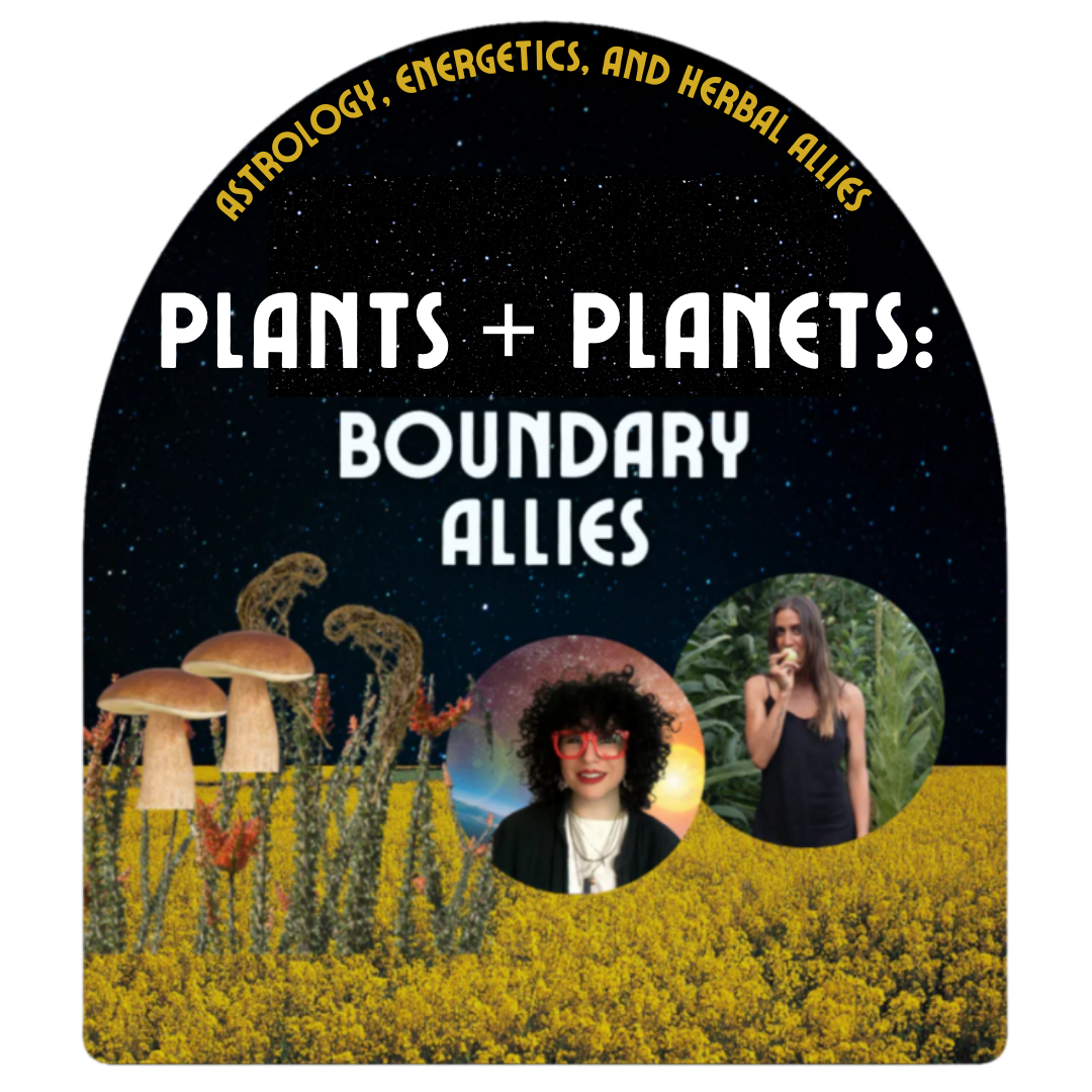 Living Life on the Edge Boundary Allies (2).png