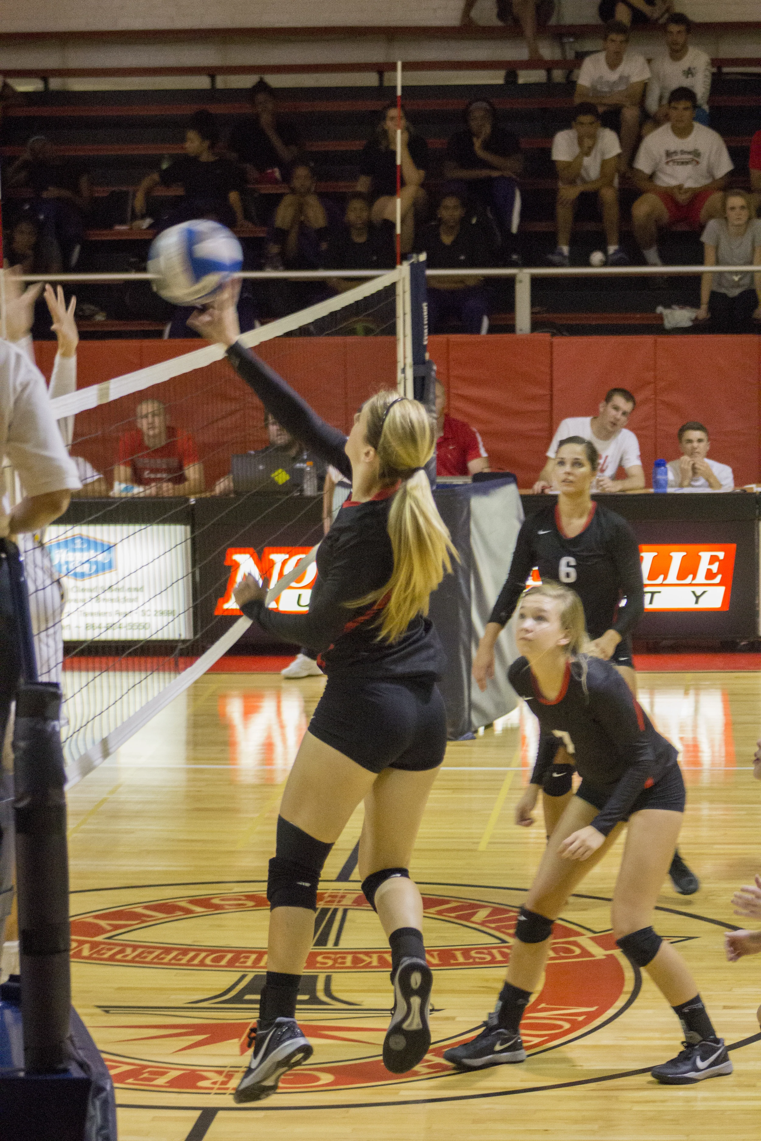 Junior Taylor Dupes taps the ball over the net.