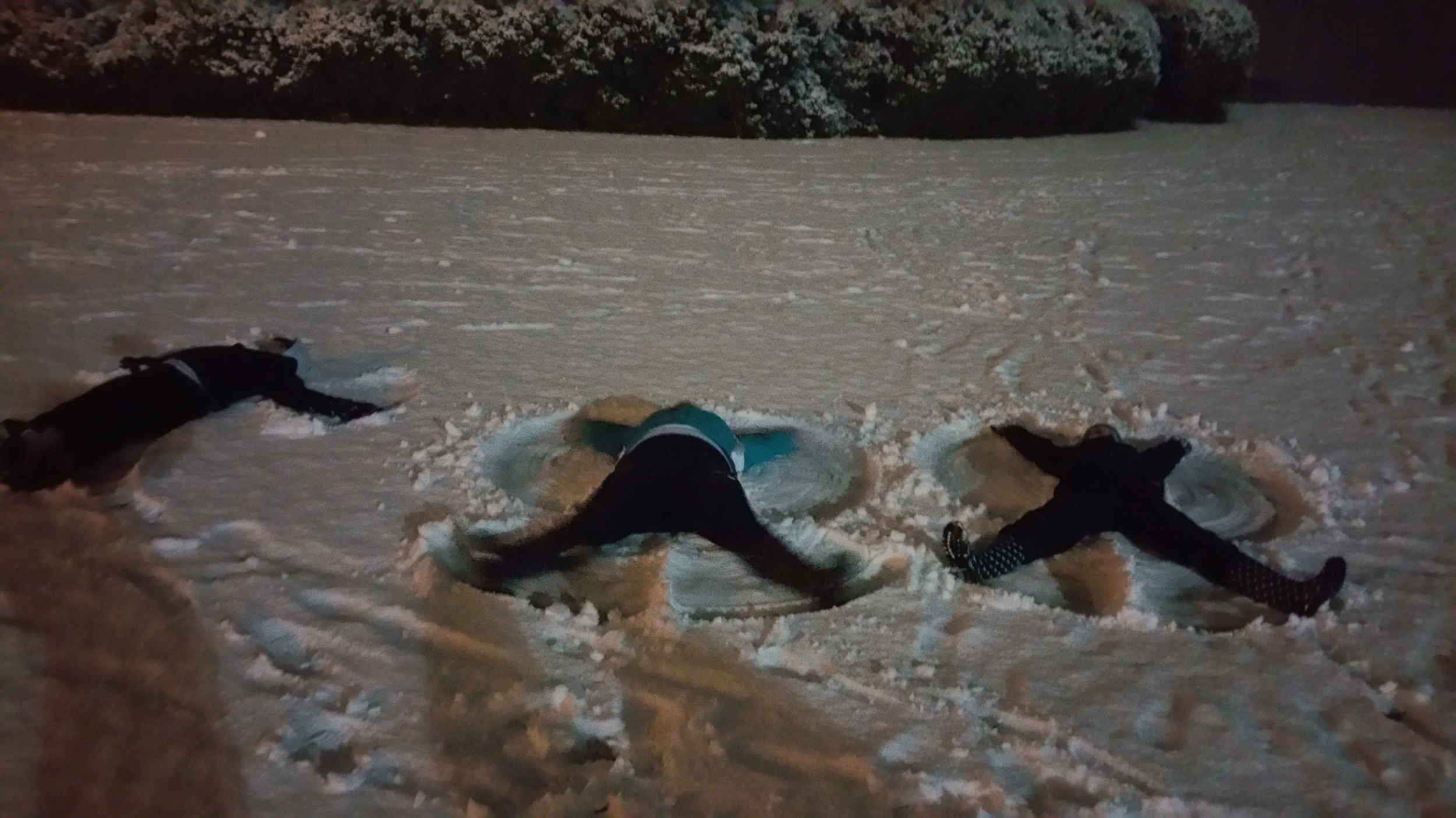Students Megan Conley, Hayden Harris, and Jessie Prescott make snow angels. Photo by Alex Miller