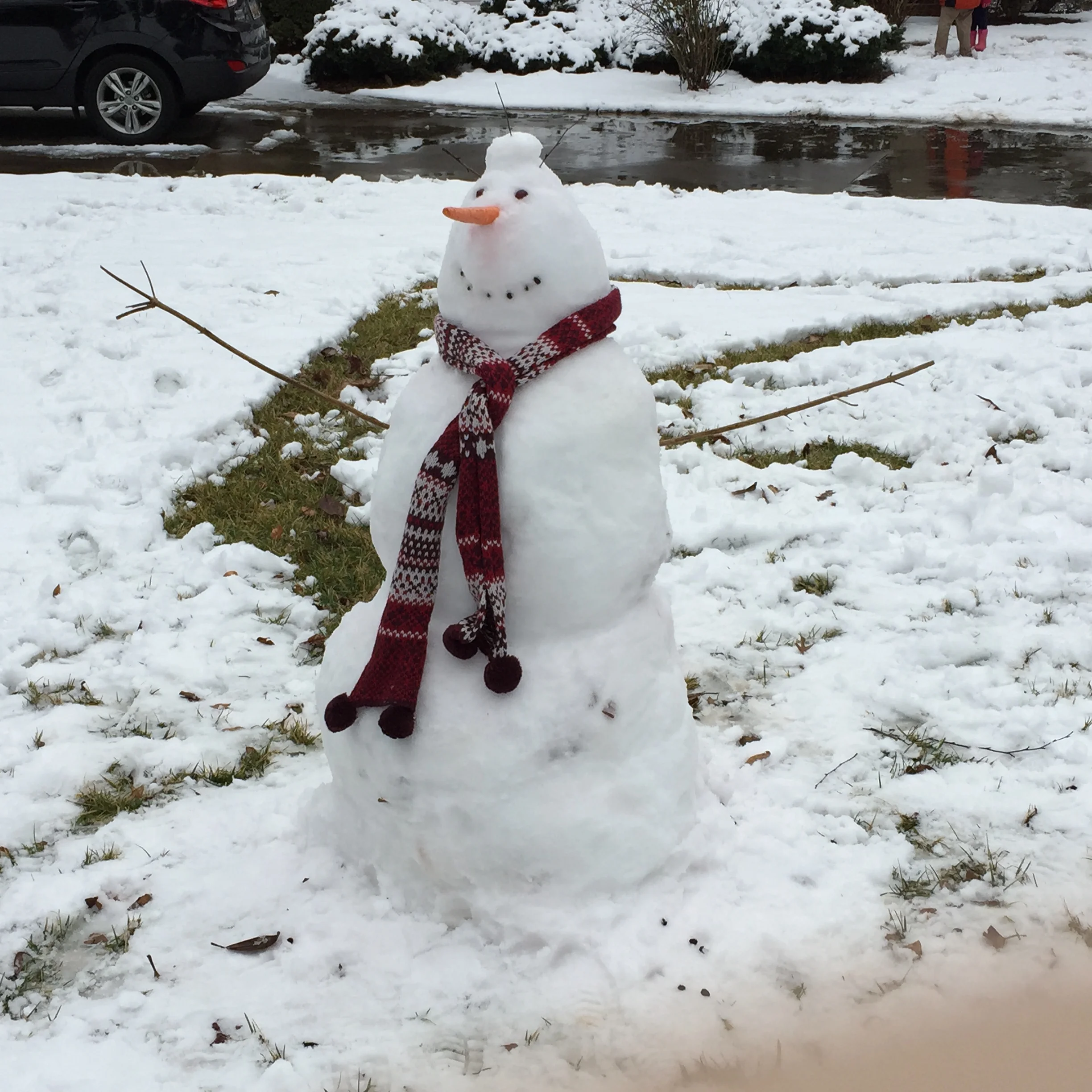Commuters enjoy the snow too! Photo by Abbi Webb 
