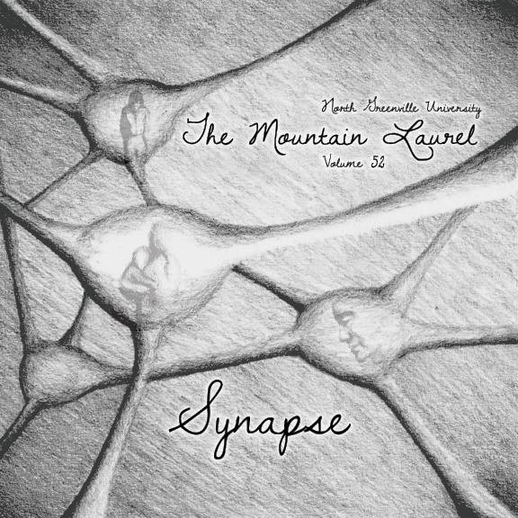 Photo Courtesy of The Mountain Laurel 