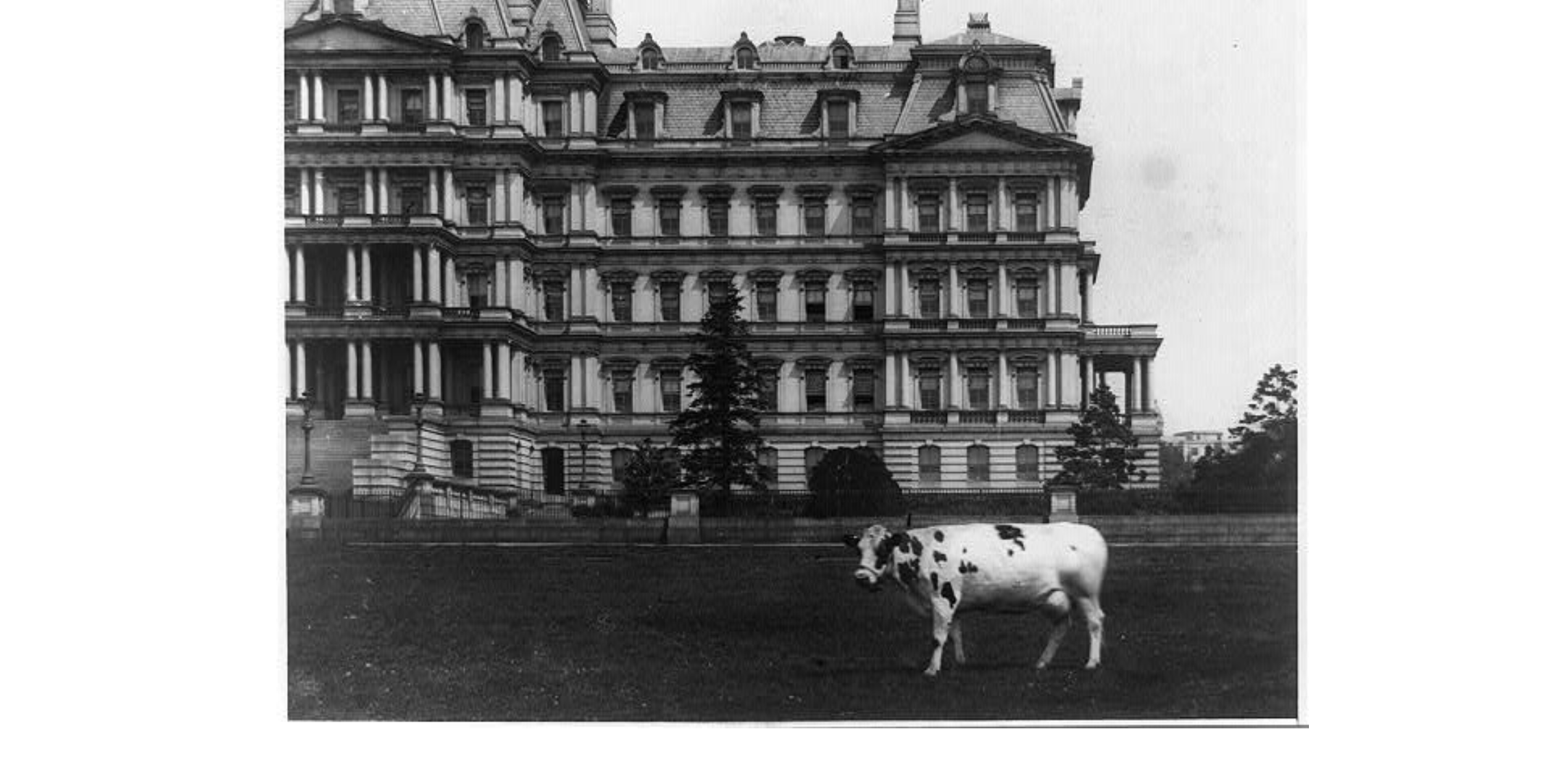 Photo Courtesy of the Library of Congress