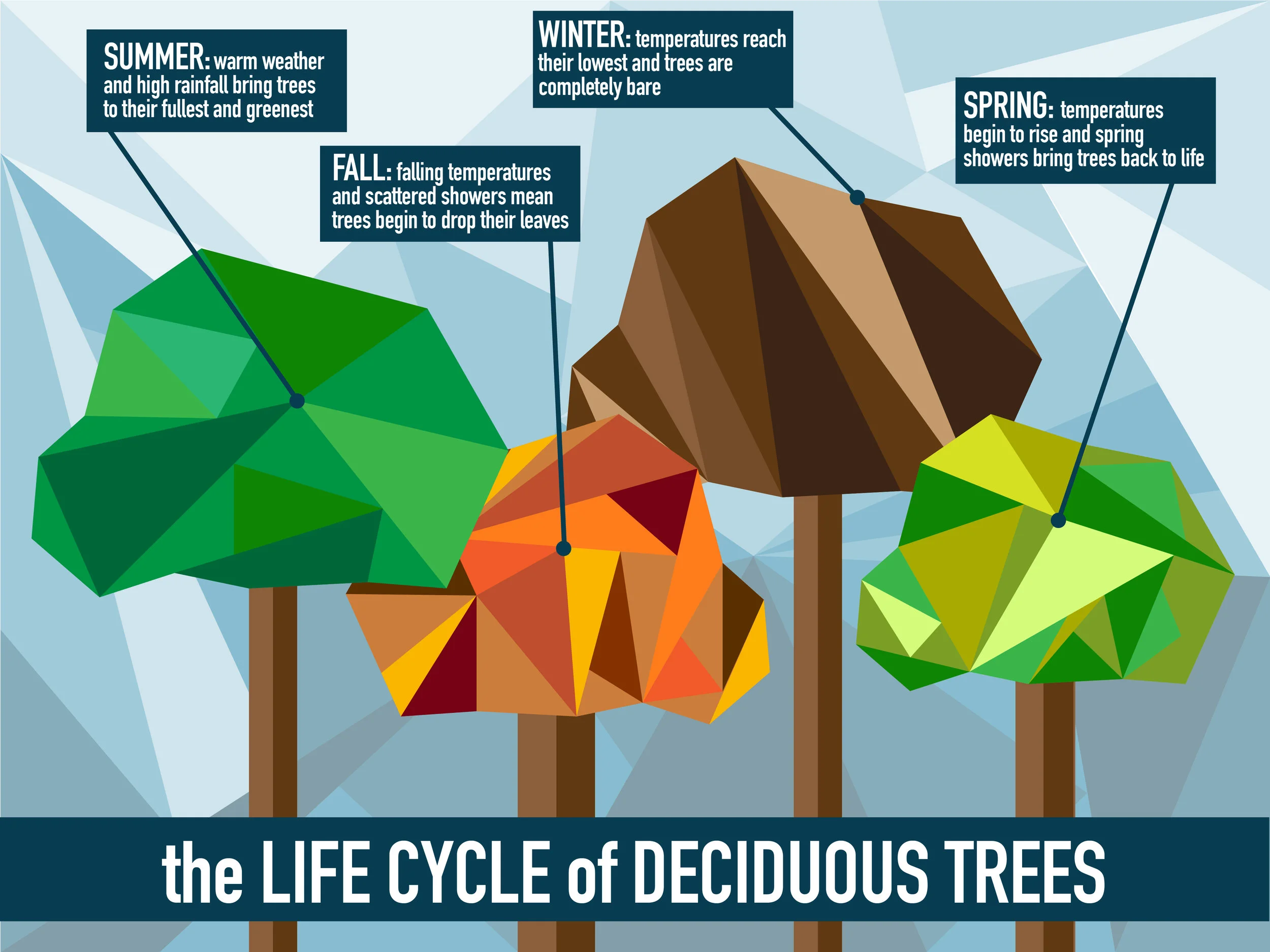 TreeTimeline-01.jpg