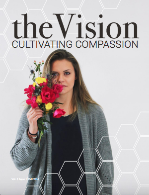 Image courtesy of the Vision Magazine. 