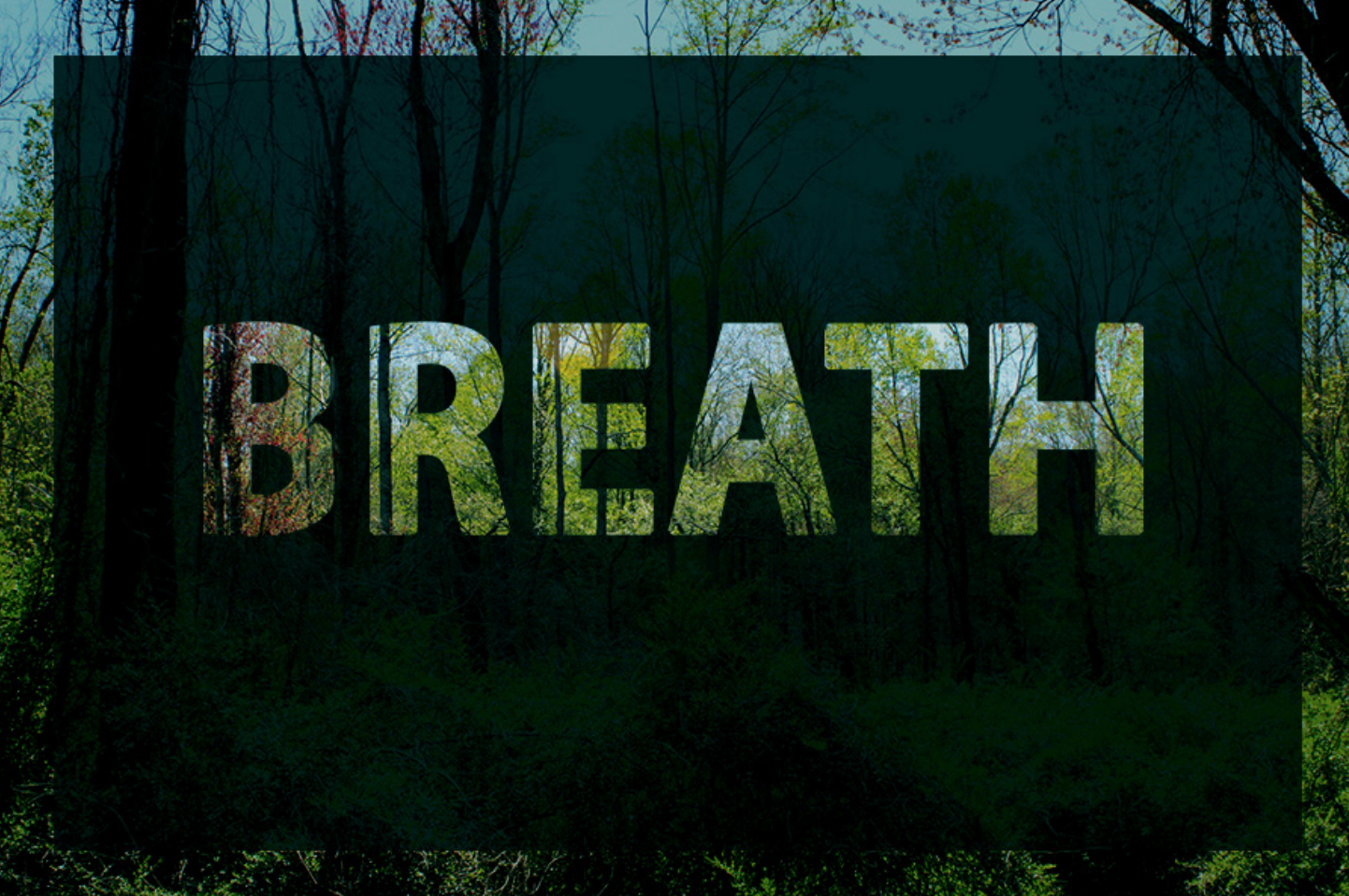 Graphic by Matt Stromlund.