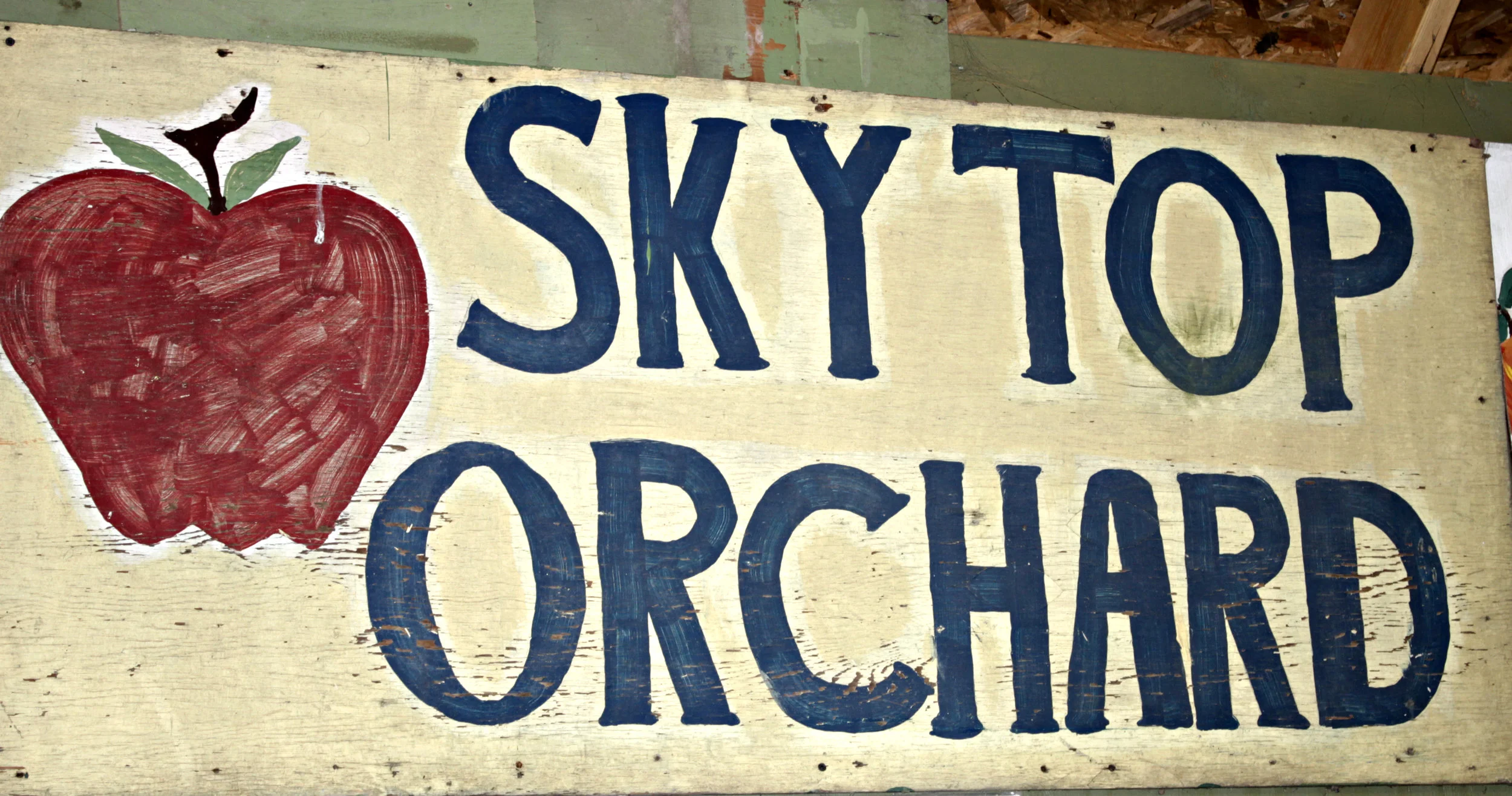 When it comes to fall fun, Skytop Orchard is one of the best places to explore when the leaves are changing and apples are ripening. Located in Flat Rock, NC, Skytop has multiple fun activities and sweet treats to try.