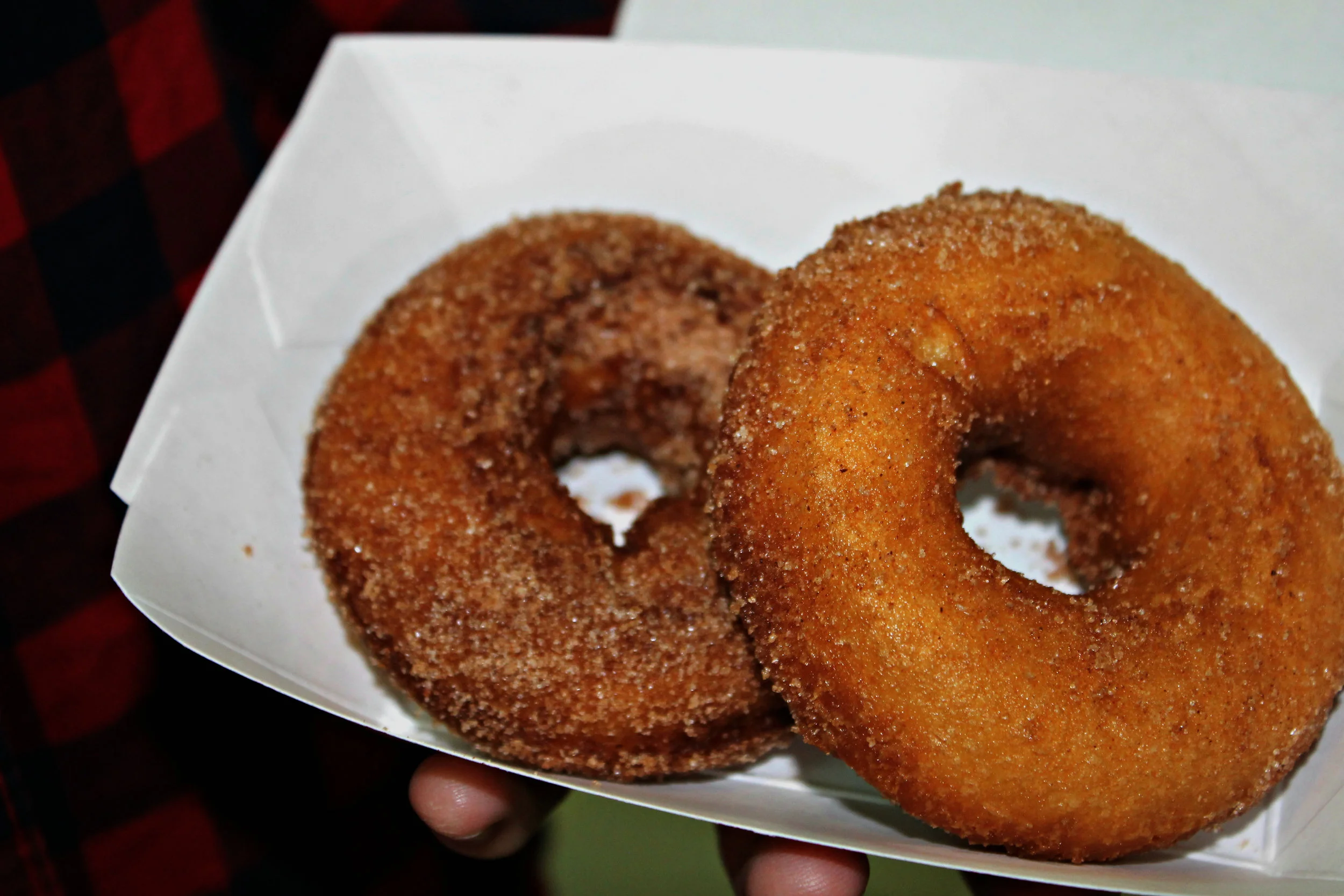 After picking a basket of apples, go satisfy your sweet tooth by grabbing a couple of fresh fried apple cider donuts, they are only $1 each. These treats are something that anyone from North Greenville University would enjoy and the price is well worth it and it is poor college student approved. Just a disclaimer, around 3-6 is a really busy time for the donut line, and took about 35 minutes from personal experience. So get there as soon as possible that day to dodge the line.