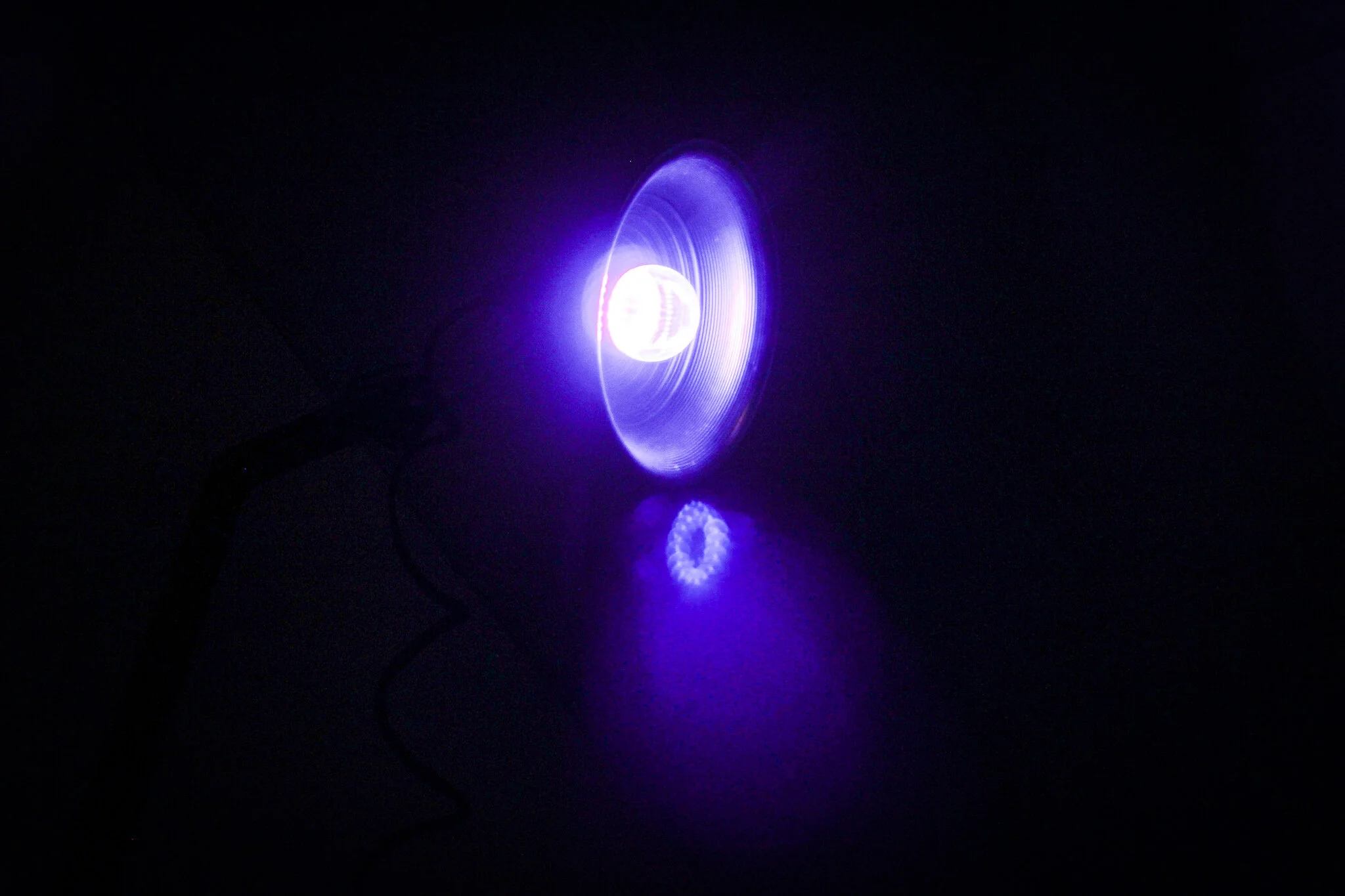 A black light in Neves, which made this party happen!